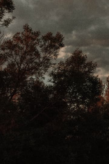 Potret layar fitur baru saat menata gambar memanjang agar tetap rapi dan proporsional.